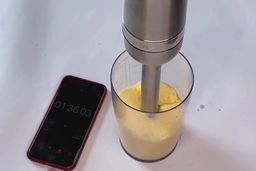 Vitamix Immersion Blender Mayonnaise