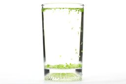 A glass of water with fibrous green pulp produced by the Ninja QB3001SS Fit Personal Blender sinking from its top to bottom.