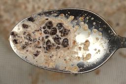 Using a spoon to scoop a small smattering of dried blueberry chunks from a mesh strainer containing protein shake produced the Hamilton Beach blender.