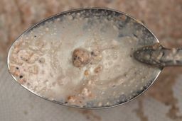 A tiny piece of dried blueberries scooped from a mesh strainer containing protein shake produced by the Black+Decker single-serve blender by a stainless steel spoon. 