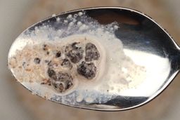 Using a spoon to scoop a small smattering of dried blueberry chunks from a mesh strainer containing protein shake produced the Oster Single-Serving Blender.