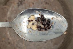 Using a spoon to scoop a small smattering of dried blueberry chunks from a mesh strainer containing protein shake produced the Ninja BN401 Nutri Pro Blender.