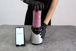 La Reveuse Personal Blender Frozen Fruit Smoothie Test