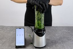 La Reveuse Personal Blender Fibrous Greens Test