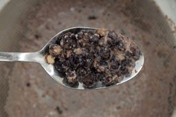 Using a spoon to scoop a small smattering of dried blueberry chunks from a mesh strainer containing protein shake produced the PopBabies blender.