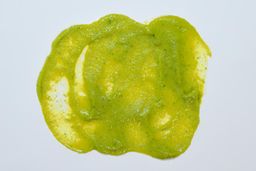 Mueller 3-in-1 8 Speed smoothie’s consistency check.