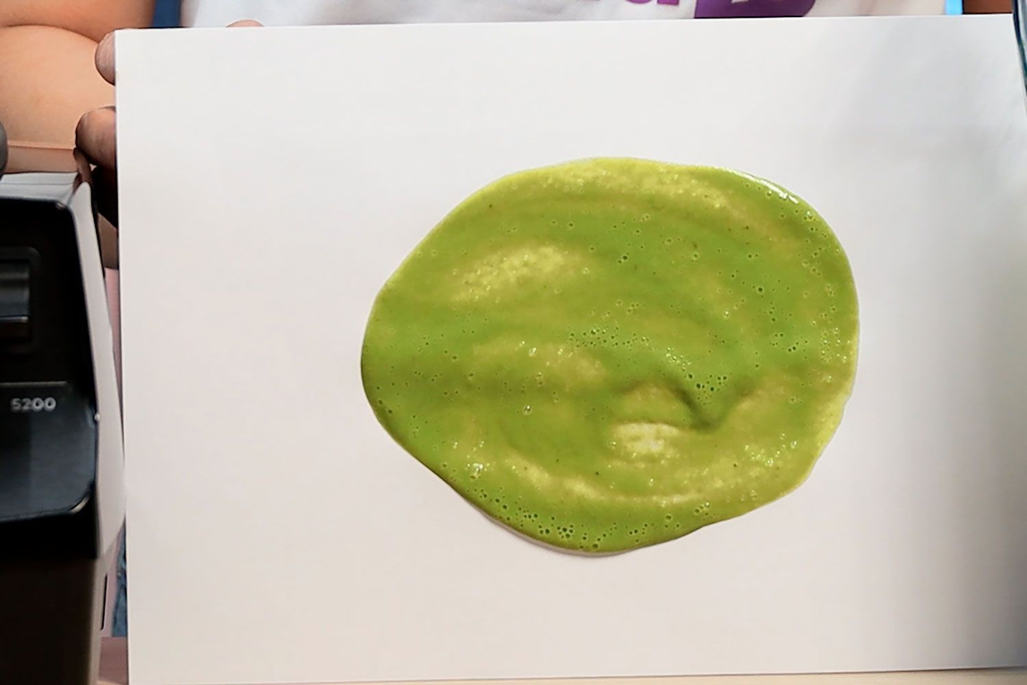 Vitamix 5200 Professional Blender Smoothie Result