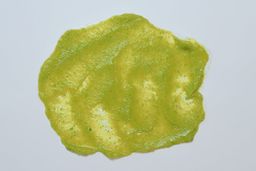 Bonsenkitchen Immersion Blender Frozen Fruit Smoothie 1