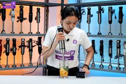 Amazon Basics Multi Speed Immersion Blender Frozen Smoothie Test