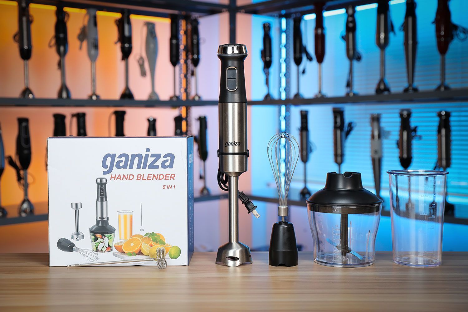 The Ganiza 5-in-1 Immersion Blender