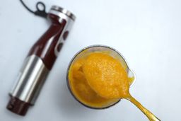 MegaWise Pro Immersion Blender Hot Soup Puree