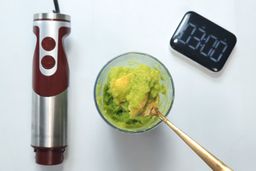 MegaWise Pro Immersion Blender Frozen Fruit Smoothie