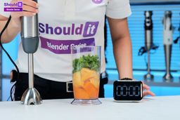 Mueller Multistick 5 in 1 Immersion Blender Frozen Smoothie Test