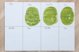 Three smoothie samples produced by the Ninja Twisti are spread on white paper, labeled at 1 minute, 1 minute 30 seconds, and 2 minutes of blending.