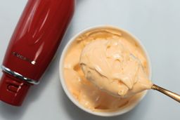 OVENTE Immersion Blender Mayonnaise