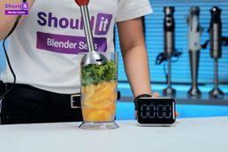 Ovente HS560R Immersion Blender Frozen Fruit Smoothie Test Result