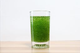 Nutribullet Ultra NB50500 Personal Blender Fibrous Greens 1