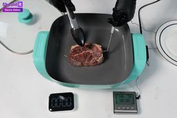 GreenLife 5QT Square Electric Skillet Steaks Test Result