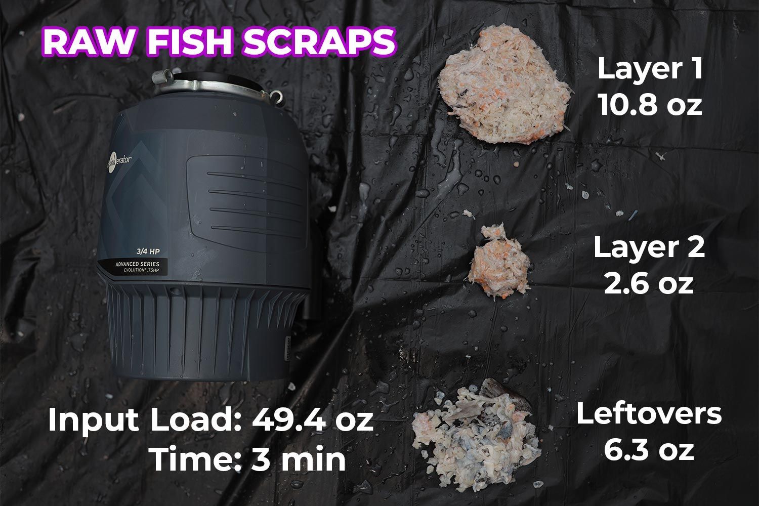 InSinkErator Evolution 3/4 HP Garbage Disposal Raw Fish Scraps Test