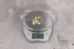 0.15 ounces of shredded pieces of fish backbone and celery stalk, on digital scale, on granite-looking top.