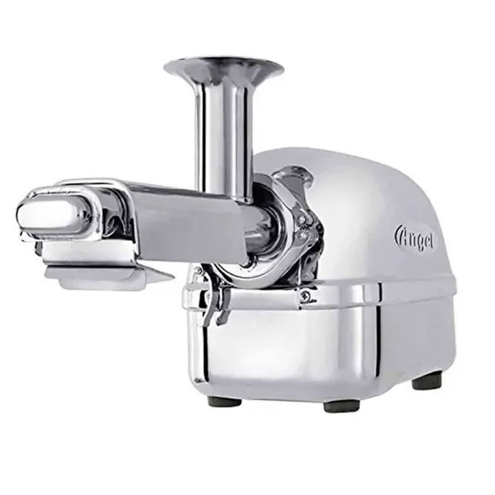 Best High End Twin Gear Juicer