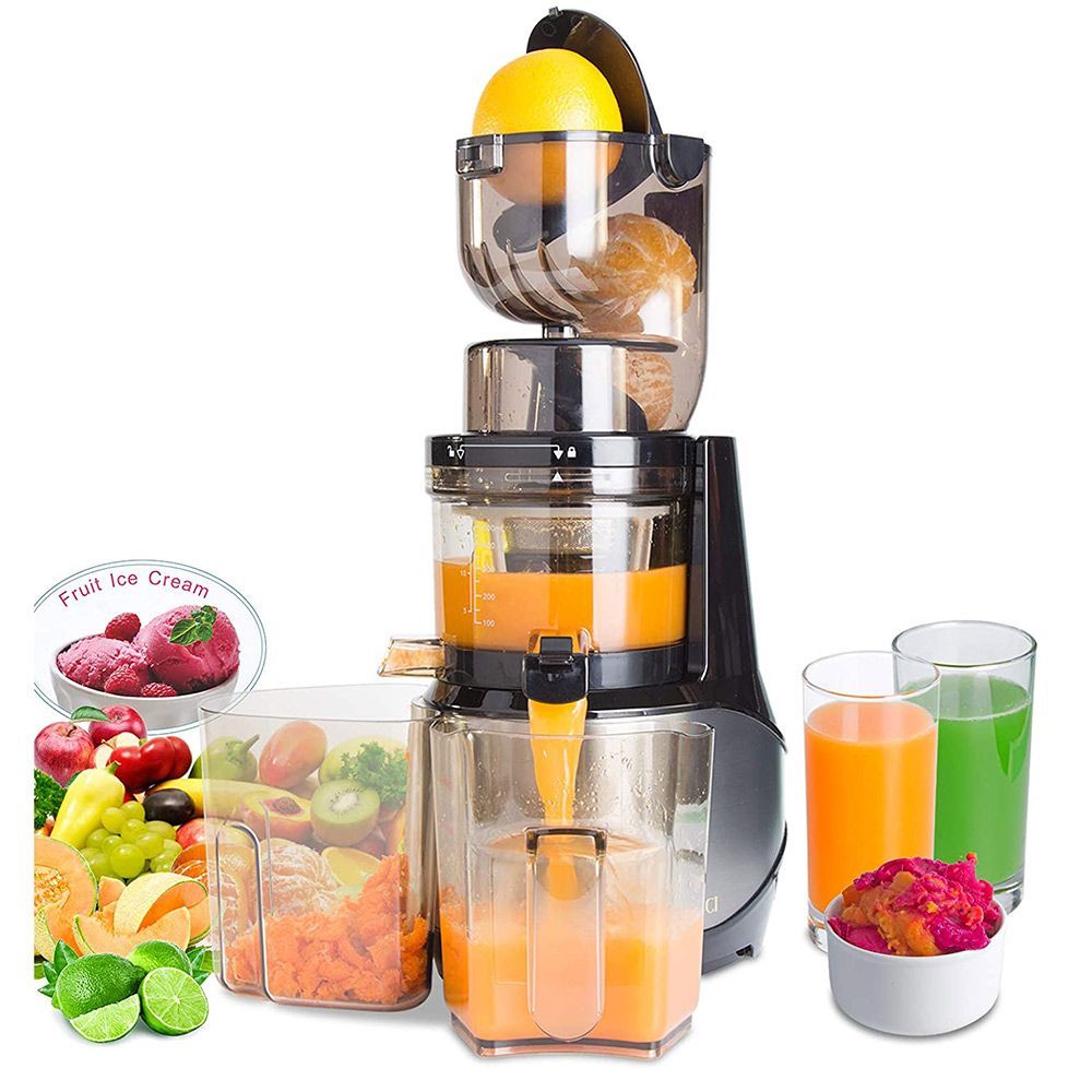 Vitalisci Masticating Slow Juicer