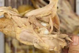 The chicken thigh meat is still pink. In the white background is the rest of the roasted chicken on a baking pan.