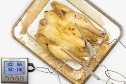 A tray of whole toaster oven roasted chicken. The thermometer has two probes inside the chicken and displays 165°F and 176°F.