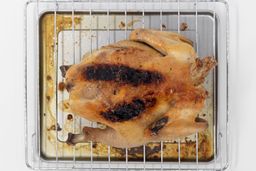  Hamilton Beach easy reach 4 slices toaster Oven Whole Roasted ChickenA whole roasted chicken using the Hamilton Beach 31344DA backside up on an oven rack and baking pan on a white background.