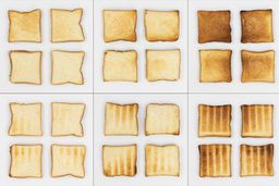 From left to right, 24 pieces of toast for the top and bottom of three toast levels including lighter, medium, and darker.