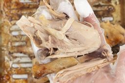 A hand holding a pulled-apart roasted chicken thigh. In the background is the chicken on a grooved silver baking pan.