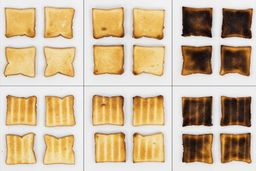 From left to right, 24 pieces of toast for three toast levels including lighter, medium, and darker. On the upper row are the top sides, and on the lower row are the bottom sides of the toast.