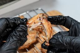 COMFEE Toaster Oven CFO BB101 Roasted Chicken Wings 3