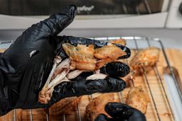 COMFEE Toaster Oven CFO BB101 Roasted Chicken Wings 4