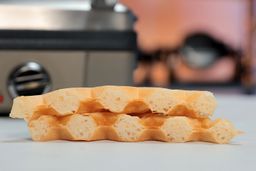 Cuisinart WAF 300P1 Birch Benders Mix inside 1