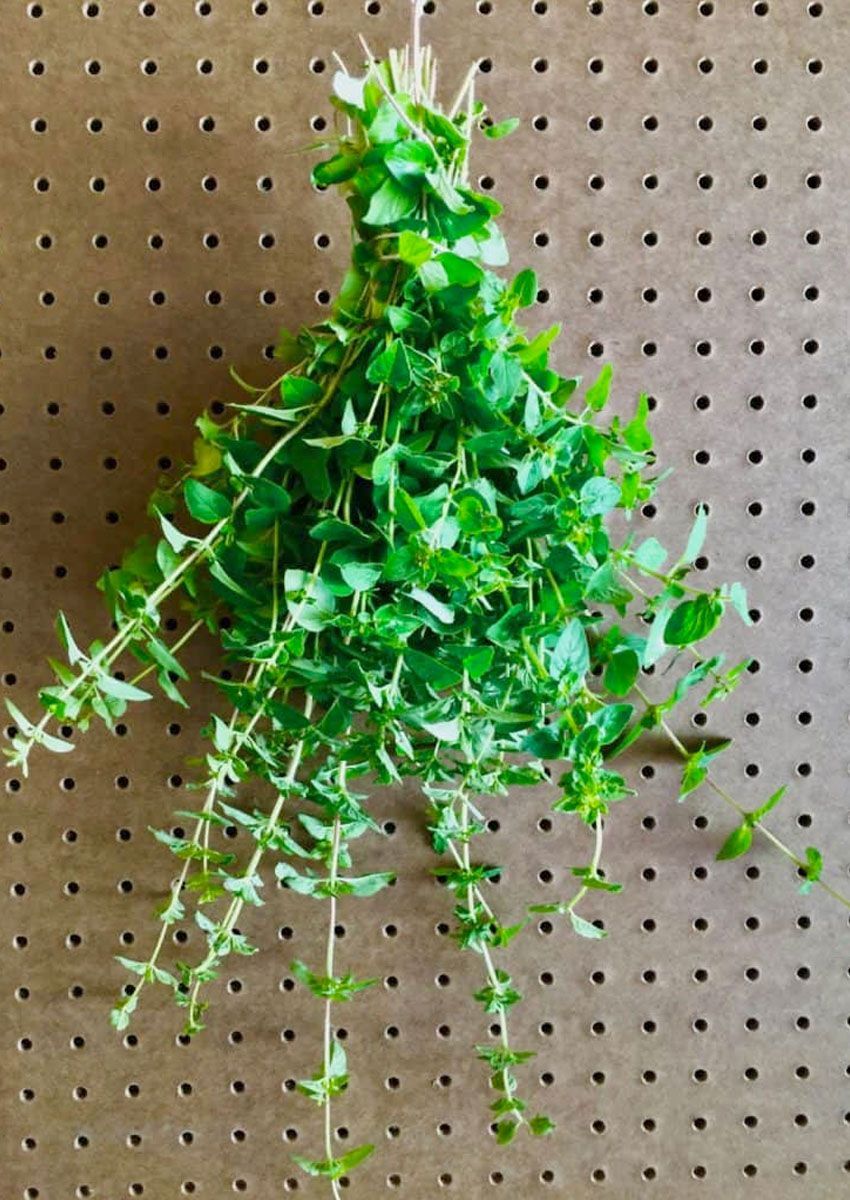 How Do You Dry Oregano Leaves