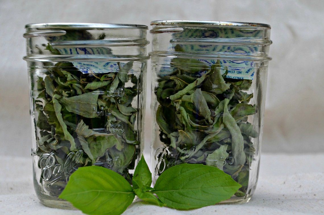 How to Dry Basil Leaves in the Oven