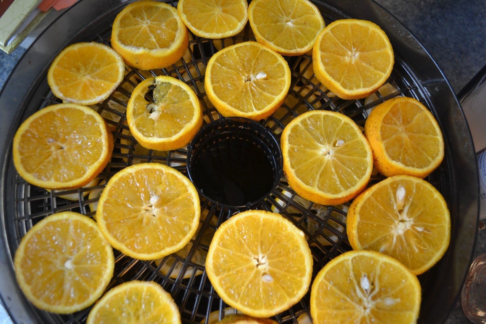 How to Dry Orange Slices in the Food Dehydrator