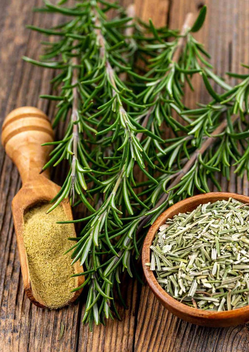 How to Dry Rosemary