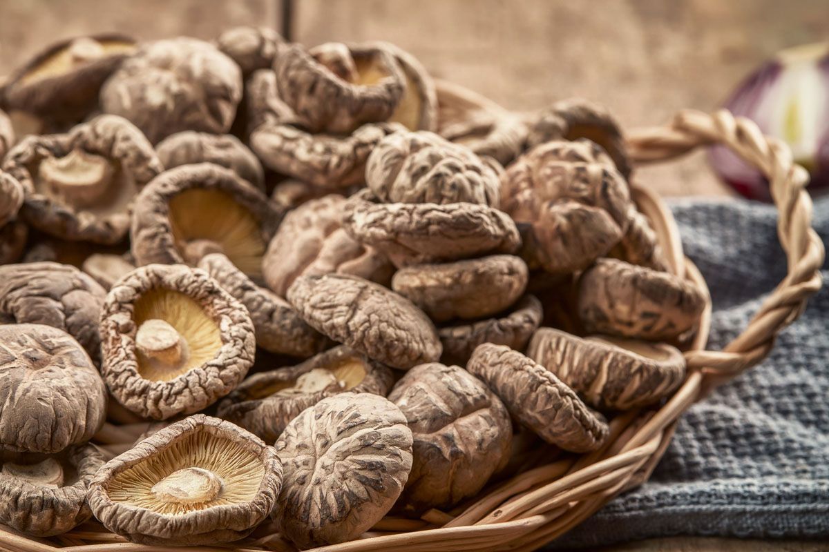 The Best Ways to Dry Mushrooms