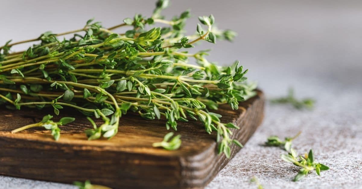 How to Dry Thyme: The Best Ways to Make Dried Thyme At Home