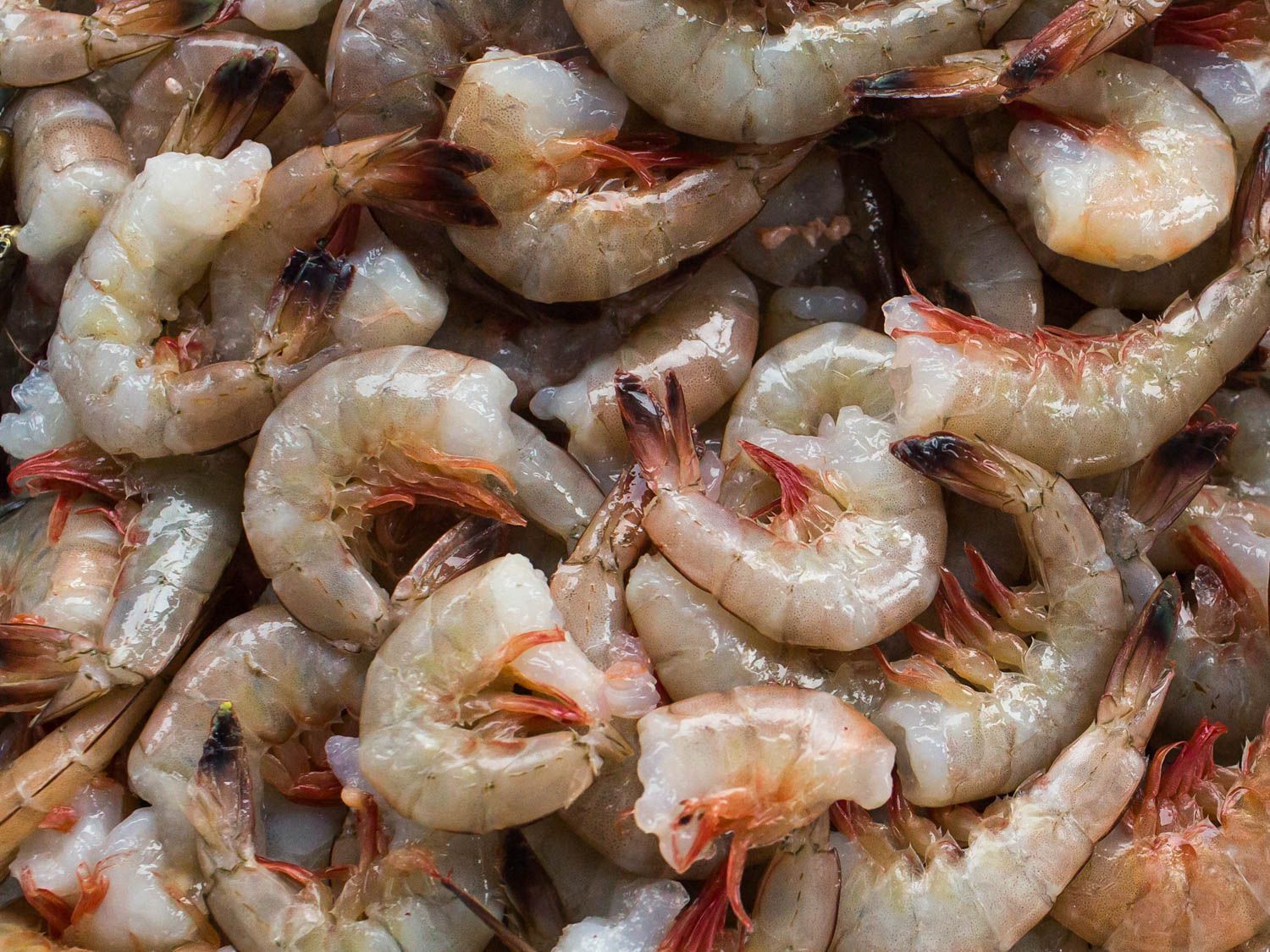 Defrosting Shrimp in Cold Water