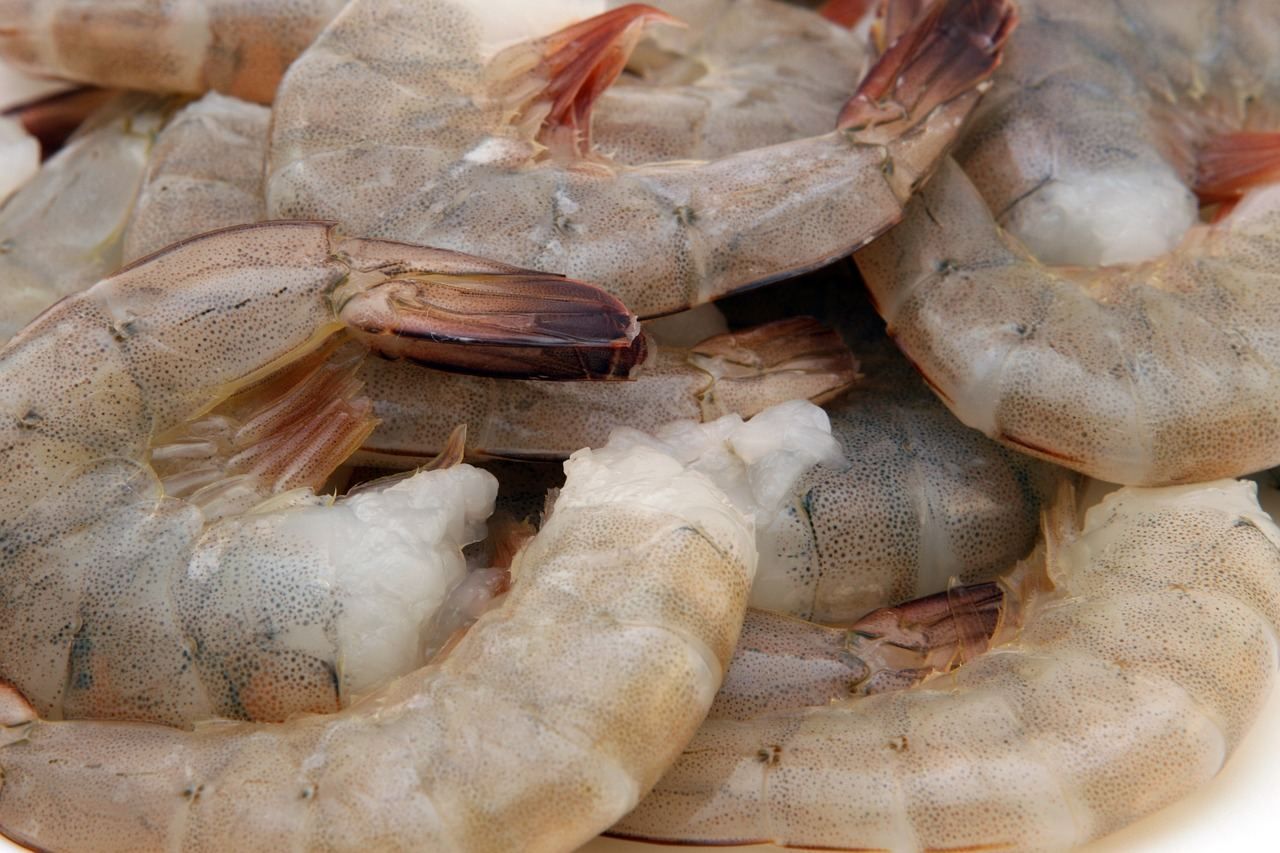 Defrosting Shrimp in the Fridge