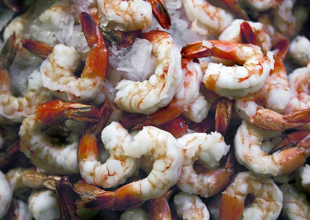 defrost Shrimp Safety 101